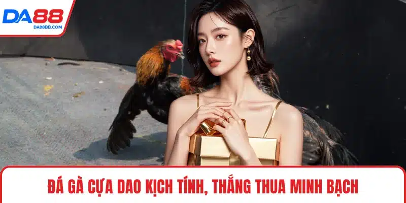 Đá gà cựa dao kịch tính, thắng thua minh bạch