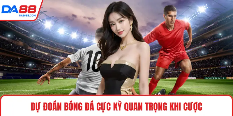 Dự đoán bóng đá cực kỳ quan trọng khi cược