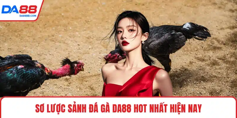 Sơ lược sảnh đá gà DA88 hot nhất hiện nay